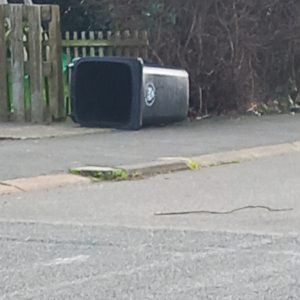 Bin Disco